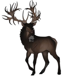 Flat coloring example